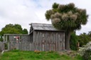 Tasmanien 2005 - 6